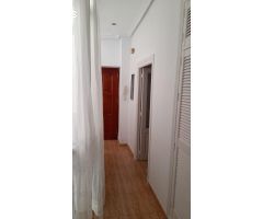 ALQYÇUILER ESCOLAR - ZONA VIÑA