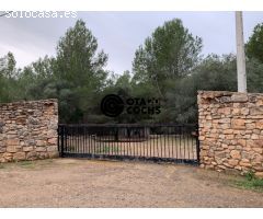 TERRENO RURAL CON CASITA Y POZO EN CASTELLVELL DEL CAMP