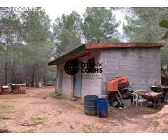 TERRENO RURAL CON CASITA Y POZO EN CASTELLVELL DEL CAMP