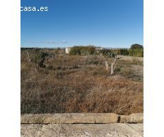 Terreno rustico de 8 anegadas
