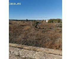 Terreno rustico de 8 anegadas