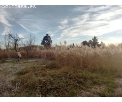 ¡Se vende terreno rustico en Lorqui, muy cerca del Rio!
