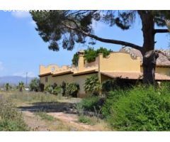 FINCA CHALET EN ZONA AUTOVÍA DE SAN JAVIER