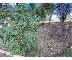 CASA DE CAMPO CON TERRENO en Pozo Estrecho