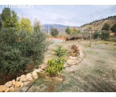 FINCA DE RECREO EN ALCOLEA