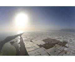 119 m2 de Solar en Paterna del Rio para construirte TU FUTURO HOGAR