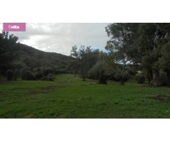 MAGNIFICA DEHESA PROXIMA A JEREZ DE LA FRONTERA