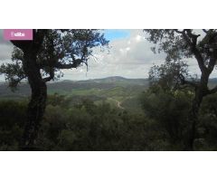 MAGNIFICA DEHESA PROXIMA A JEREZ DE LA FRONTERA
