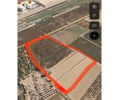 TERRENO en VENTA entre Guardamar y La Marina