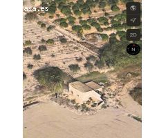 TERRENO en VENTA entre Guardamar y La Marina
