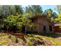 MASIA EN EL DESIERTO DE LAS PALMAS