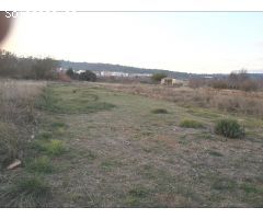 FINCA RUSTICA CON NORIA
