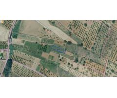 FINCA RUSTICA CON NORIA
