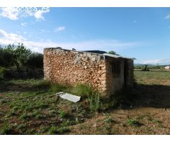 FINCA RUSTICA CON CASETA