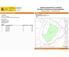 FINCA RUSTICA EN VENTA DE 4 HECTAREAS Y POSIBILIAD DE 7 HECTAREAS