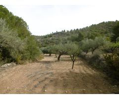 MASIA PARA REFORMAR CON TERRENO DE 118000 M2