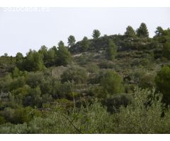 MASIA PARA REFORMAR CON TERRENO DE 118000 M2