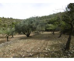 MASIA PARA REFORMAR CON TERRENO DE 118000 M2