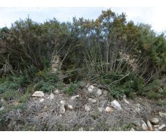 MASIA PARA REFORMAR CON TERRENO Y ACCESO POR CAMINO ASFALTADO