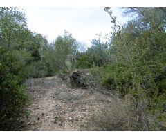 MASIA PARA REFORMAR CON TERRENO Y ACCESO POR CAMINO ASFALTADO