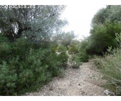 MASIA PARA REFORMAR CON TERRENO Y ACCESO POR CAMINO ASFALTADO