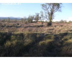 TERRENO EN VENTA ENTRE MONTALBA Y VALL DALBA CON VISTAS Y POSIBILIDAD LUZ Y AGUA