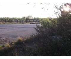 TERRENO EN VENTA ENTRE MONTALBA Y VALL DALBA CON VISTAS Y POSIBILIDAD LUZ Y AGUA