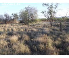 TERRENO EN VENTA ENTRE MONTALBA Y VALL DALBA CON VISTAS Y POSIBILIDAD LUZ Y AGUA