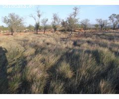 TERRENO EN VENTA ENTRE MONTALBA Y VALL DALBA CON VISTAS Y POSIBILIDAD LUZ Y AGUA