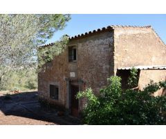 MASIA EN VILAFAMES CON TERRENO