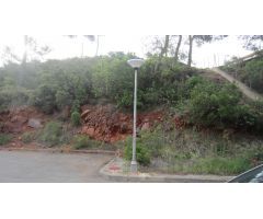 PARCELA URBANA EN URBANIZACIÓN LAS PALMAS