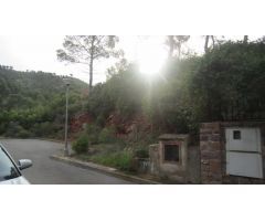 PARCELA URBANA EN URBANIZACIÓN LAS PALMAS