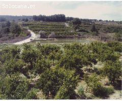 FINCA RÚSTICA. 35 HANEGADAS
130,000 METROS APROXIMADOS, 
2 LAGOS DE 10 A 15 MILLONES DE LITROS APROX