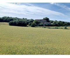 Finca rustica en Venta en Manacor, Islas Baleares