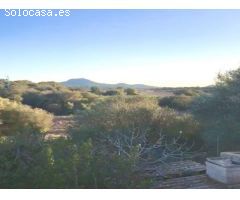 Finca rustica en Venta en Manacor, Islas Baleares