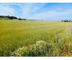 Parcela en Venta en Manacor, Islas Baleares
