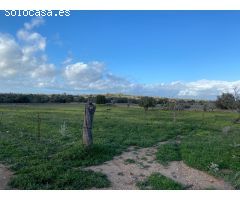 Parcela en Venta en Manacor, Islas Baleares