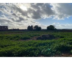 Parcela en Venta en Manacor, Islas Baleares