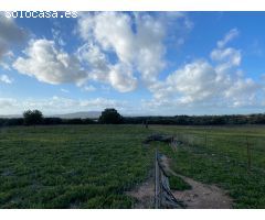 Parcela en Venta en Manacor, Islas Baleares