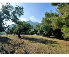 Parcela en Venta en Felanitx, Islas Baleares