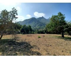 Parcela en Venta en Felanitx, Islas Baleares
