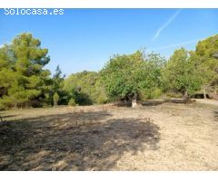 Parcela en Venta en Felanitx, Islas Baleares