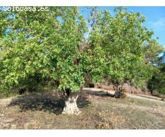 Parcela en Venta en Felanitx, Islas Baleares