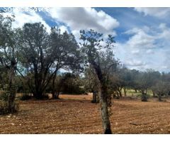 Parcela en Venta en Felanitx, Islas Baleares