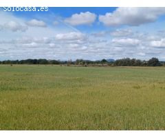 Parcela en Venta en Felanitx, Islas Baleares