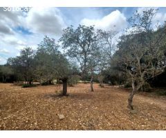 Parcela en Venta en Felanitx, Islas Baleares