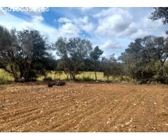 Parcela en Venta en Felanitx, Islas Baleares