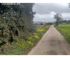 Parcela en Venta en Felanitx, Islas Baleares