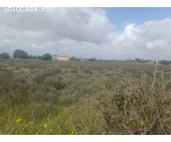 Parcela en Venta en Felanitx, Islas Baleares