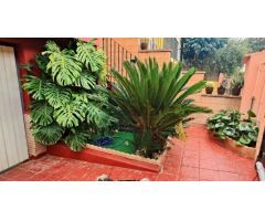 Chalet en Venta en Masarrochos, Valencia